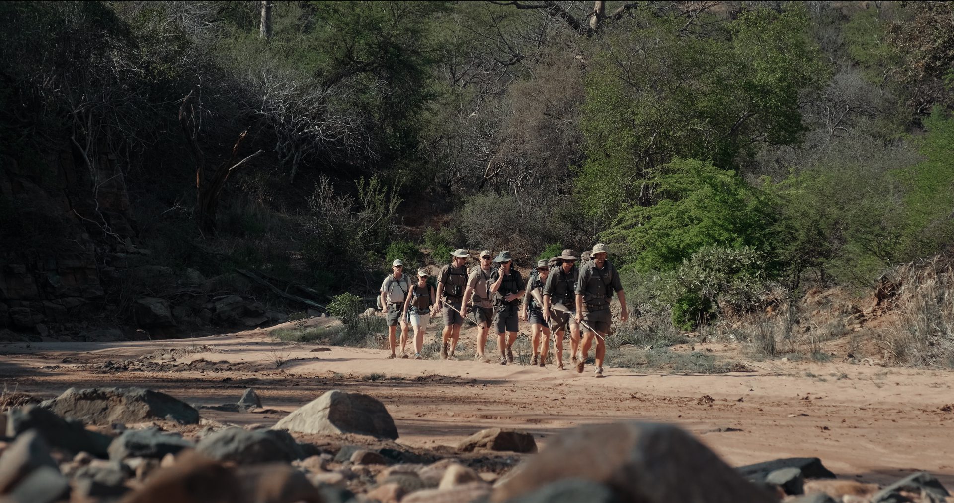 Vredefort Dome trail landscape background